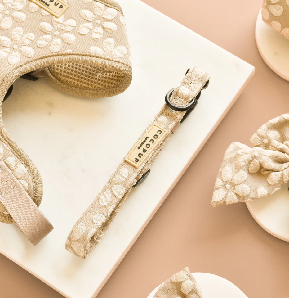 Cocopup London Mocha Flower LUXE dog collar on a mocha and white background, styled with other Cocopup accessories.