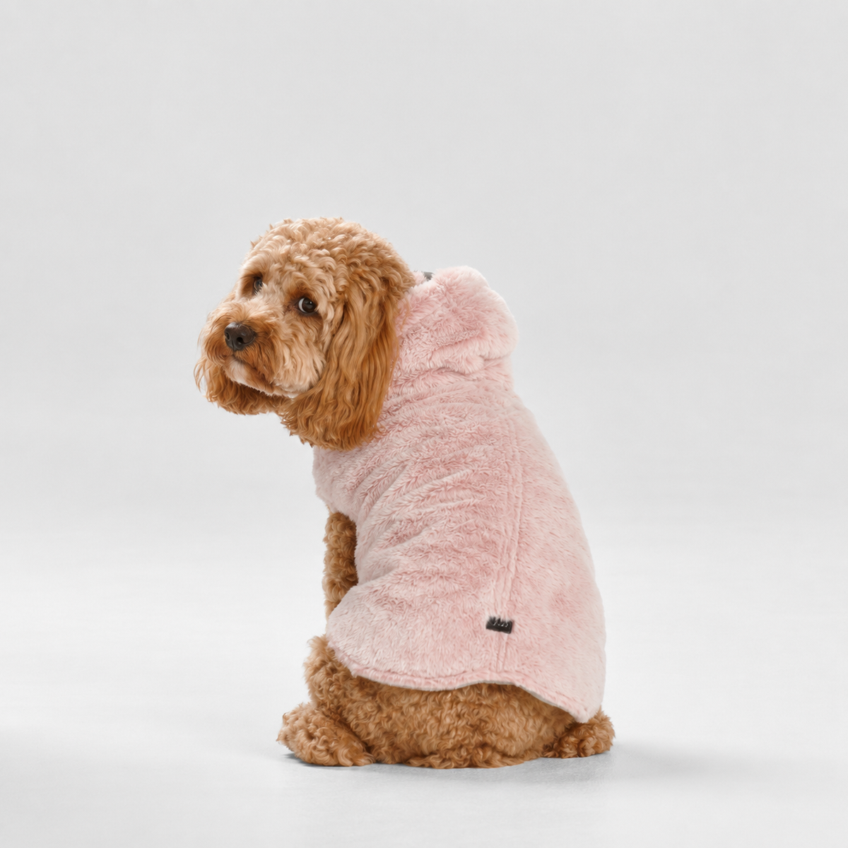 Caramel cavoodle wearing a Snooza Faux Fur Hood in Pink on a white background