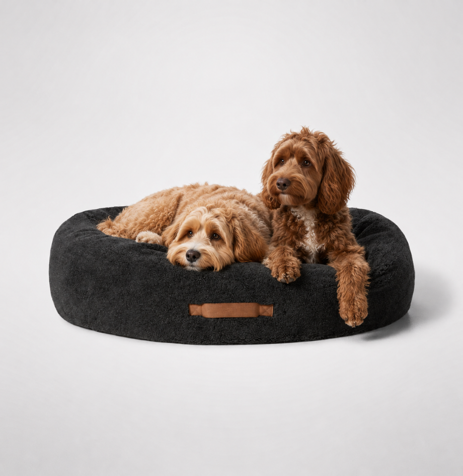 Two oodle dogs resting on a MiniJumbuk Sleep Calm Oasis Wool Dog Bed – Storm Grey, photographed on a clean light gray studio background.