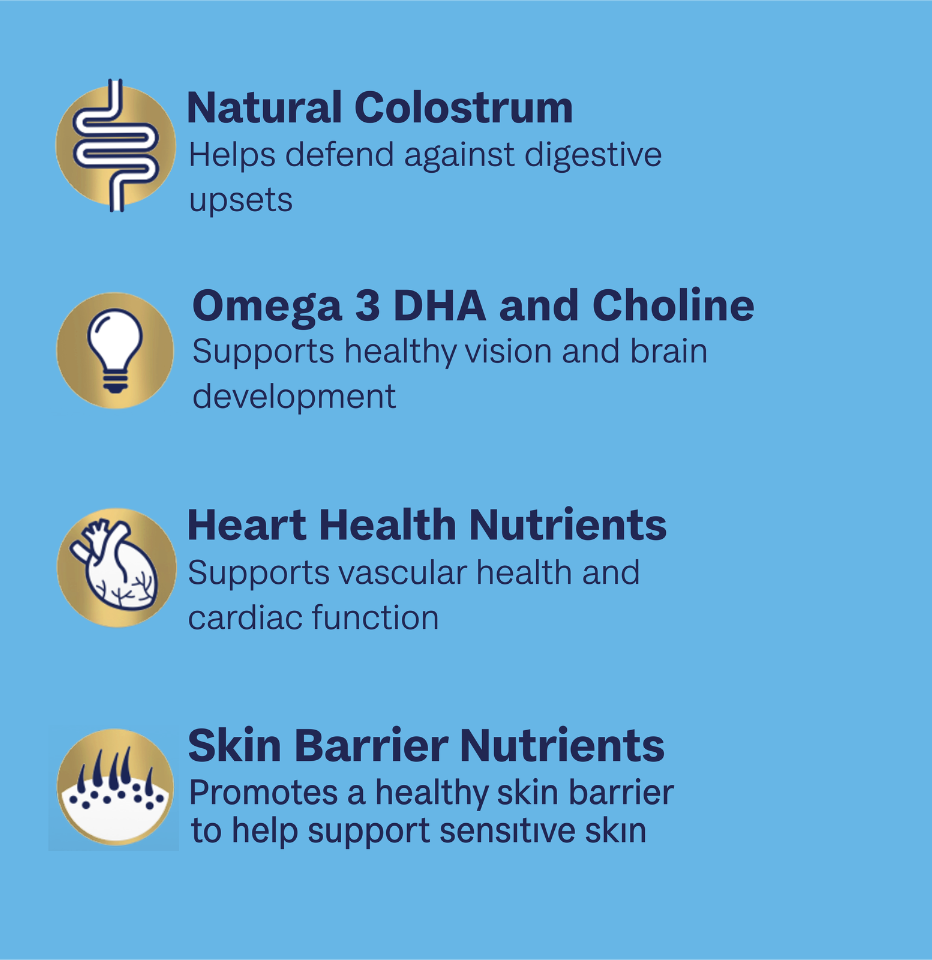 A blue informational graphic about Advance Puppy Dog Food – Oodles – Turkey with Rice with four bullet points and icons: Natural Colostrum, Omega 3 DHA and Choline, Heart Health Nutrients, and Skin Barrier Nutrients.