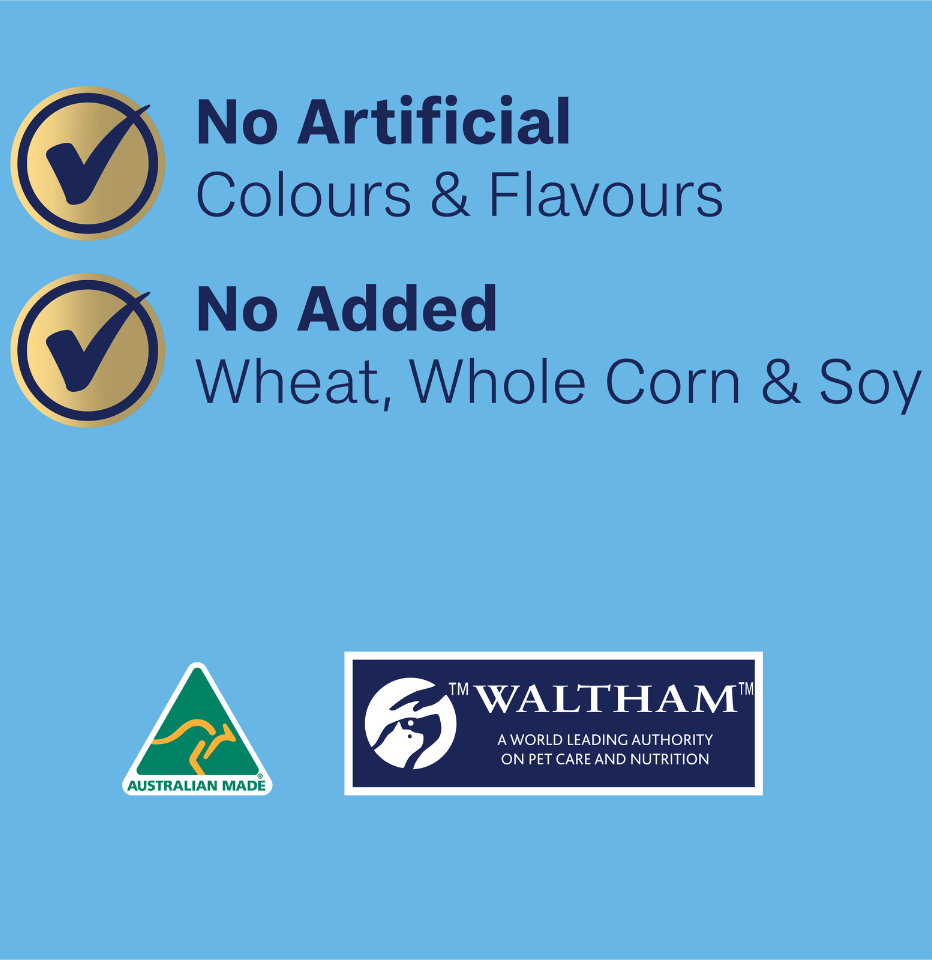 A light blue promotional graphic about Advance Puppy Dog Food for Oodles with text stating 'No Artificial Colours & Flavours' and 'No Added Wheat, Whole Corn & Soy,' plus a green Australian Made logo and a Waltham pet care and nutrition authority logo.
