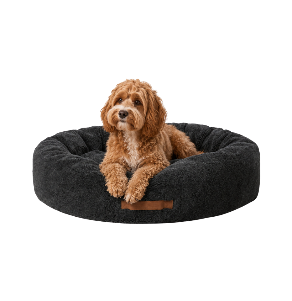 A small brown cavoodle sits inside a MiniJumbuk Sleep Calm Oasis Wool Dog Bed – Storm Grey, photographed on a clean white background.