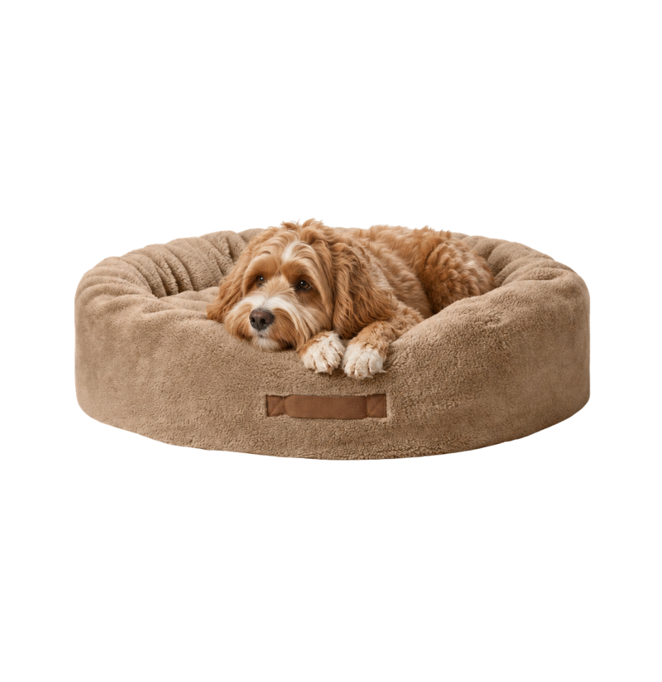 A small brown cavoodle dog lies resting inside a MiniJumbuk Sleep Calm Oasis Wool Dog Bed in fawn on a solid white background.