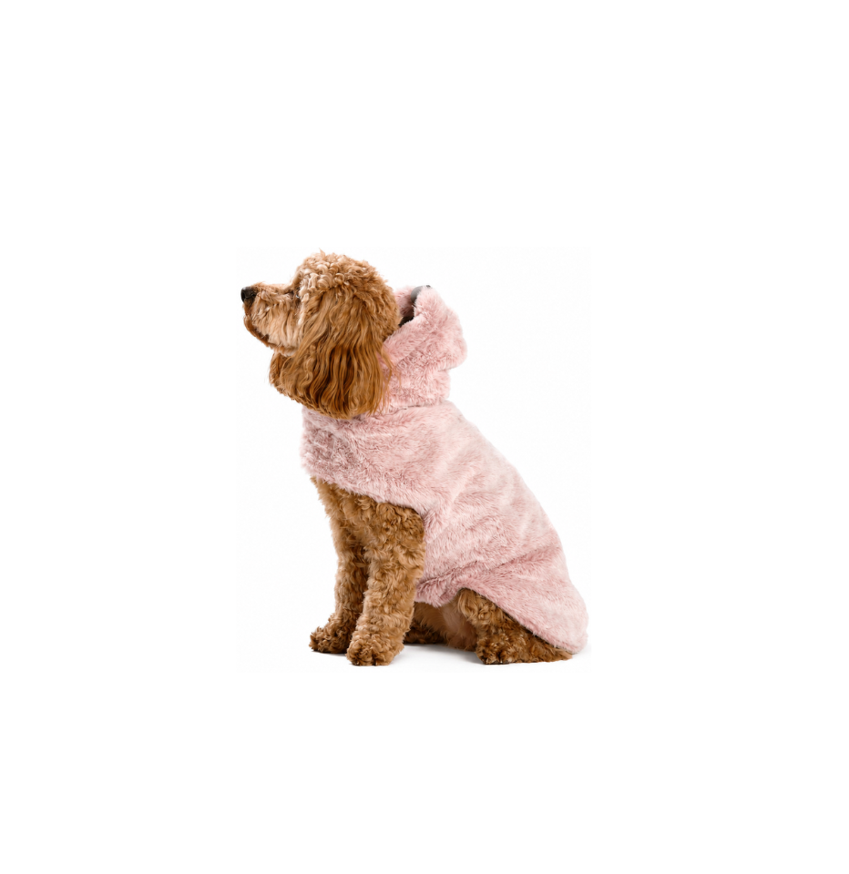 A small brown cavoodle wearing a fluffy light pink dog hoodie, sitting against a solid white background.