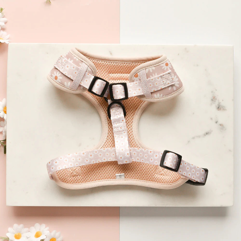 Pink dog harness with daisy design on a marble surface