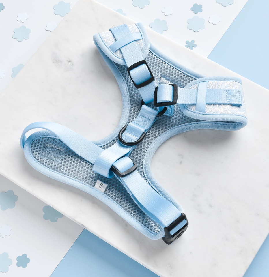 The top of Cocopup London Baby Blue Flower LUXE Adjustable Neck Harness