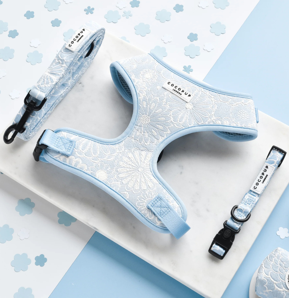 Cocopup London Baby Blue Flower LUXE Adjustable Neck Harness, LEad and Collar on a white and blue background with decorative aper flowers