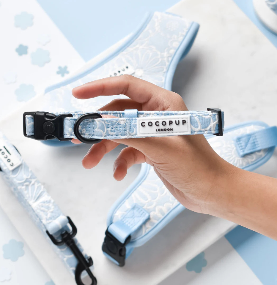 A close-up of a Cocopup London Baby Blue Flower LUXE Dog Collar on a marble surface.