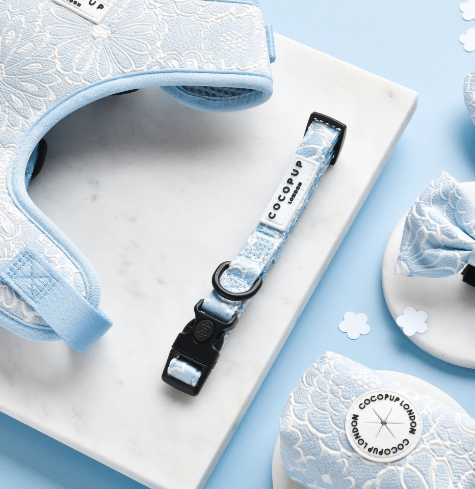 Cocopup London Baby Blue Flower LUXE Dog Collar and other accessories on a white and blue background with decorative paper flowers
