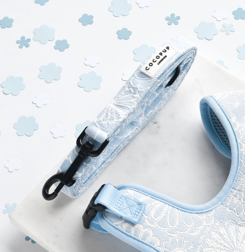 Cocopup London Baby Blue Flower LUXE Dog Lead and harness on a white and blue background withou decorative paper flowers