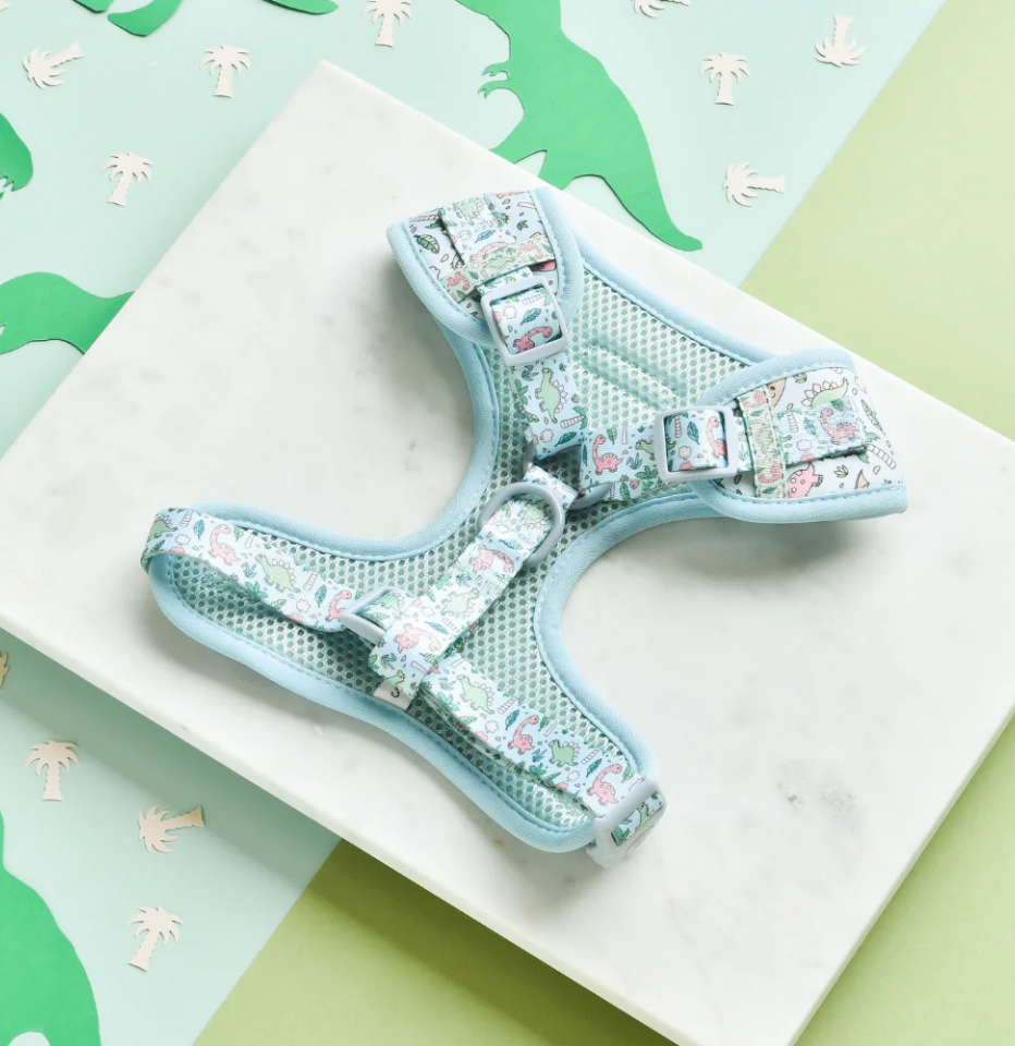 A light blue dog harness with a pastel floral print and mesh backing, displayed on a white marble block over a green and mint background with dinosaur cutouts.