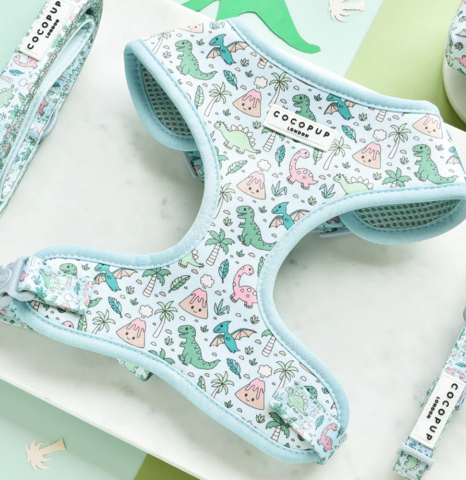 Cocopup London DinoPaws harness with pastel dinosaur print, styled with matching lead and collar on marble surface
