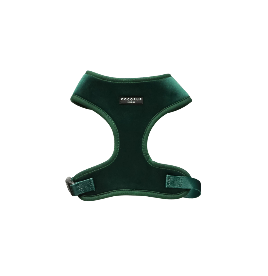 Cocopup London Forest Green Velvet LUXE dog harness with textured velvet finish