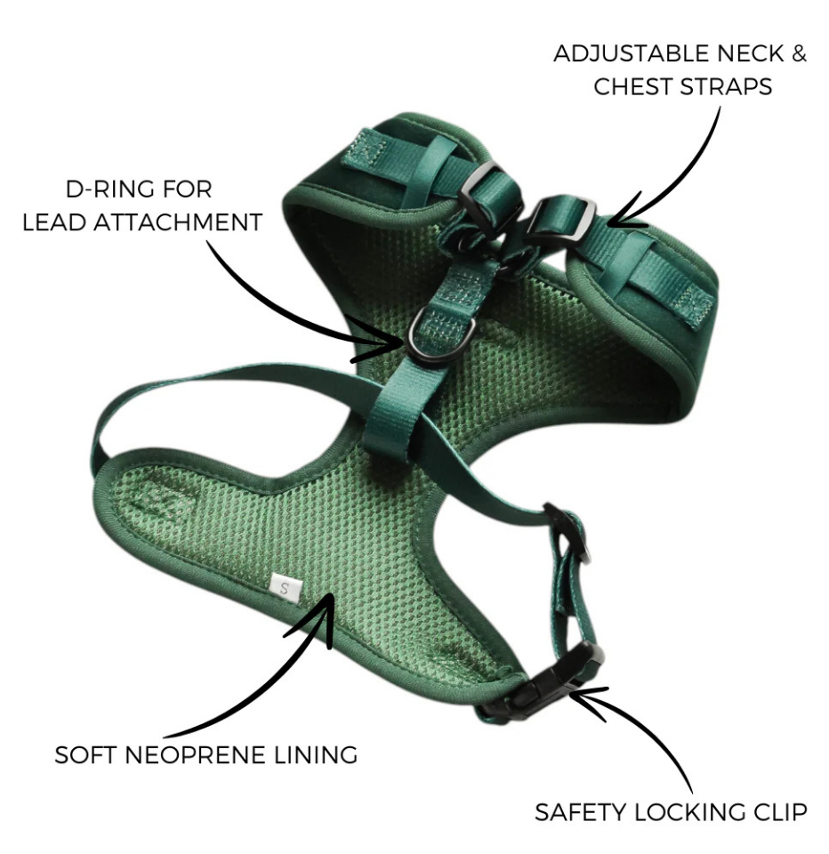 Back of Cocopup London Forest Green Velvet harness showing D-ring for lead attachment, soft neoprene lining, adjustable neck and chest straps, and safety locking clip