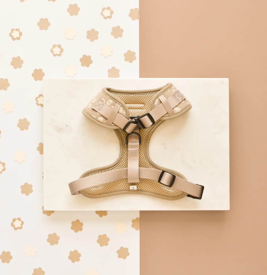 Cocopup London Mocha Flower LUXE harness laid flat on marble, mocha floral straps with mesh paneling, styled with floral wallpaper backdrop