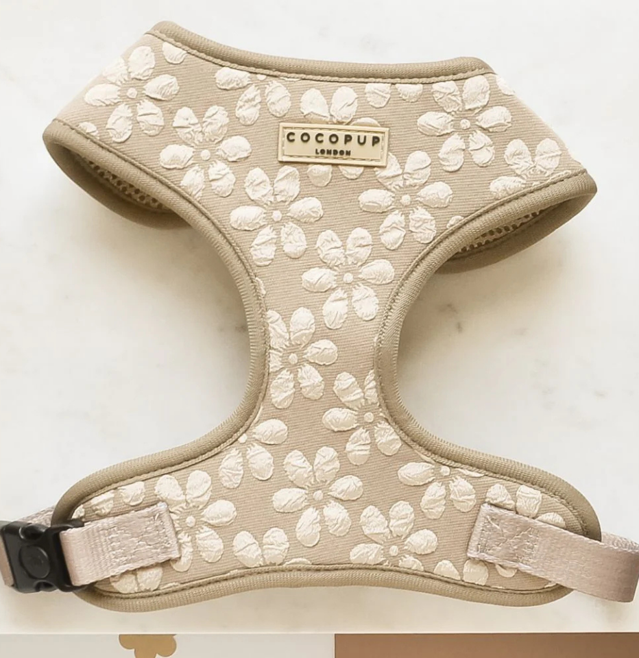 Cocopup London Mocha Flower harness showing embroidered floral pattern, branded label and clip buckle