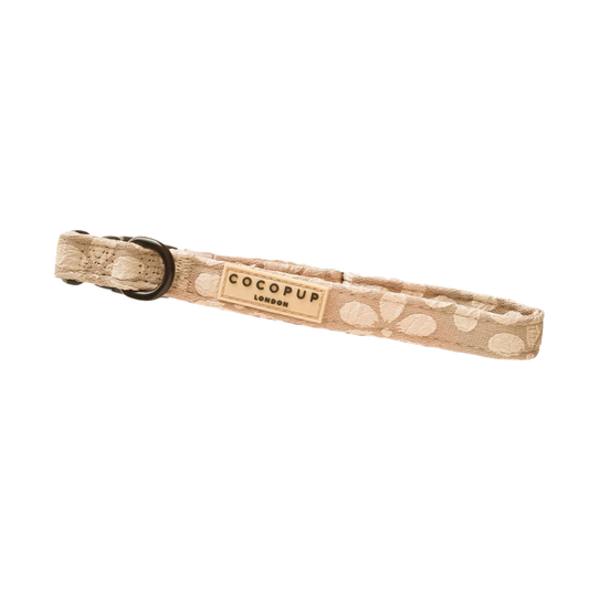 Cocopup London Mocha Flower LUXE Dog Collar on a white background