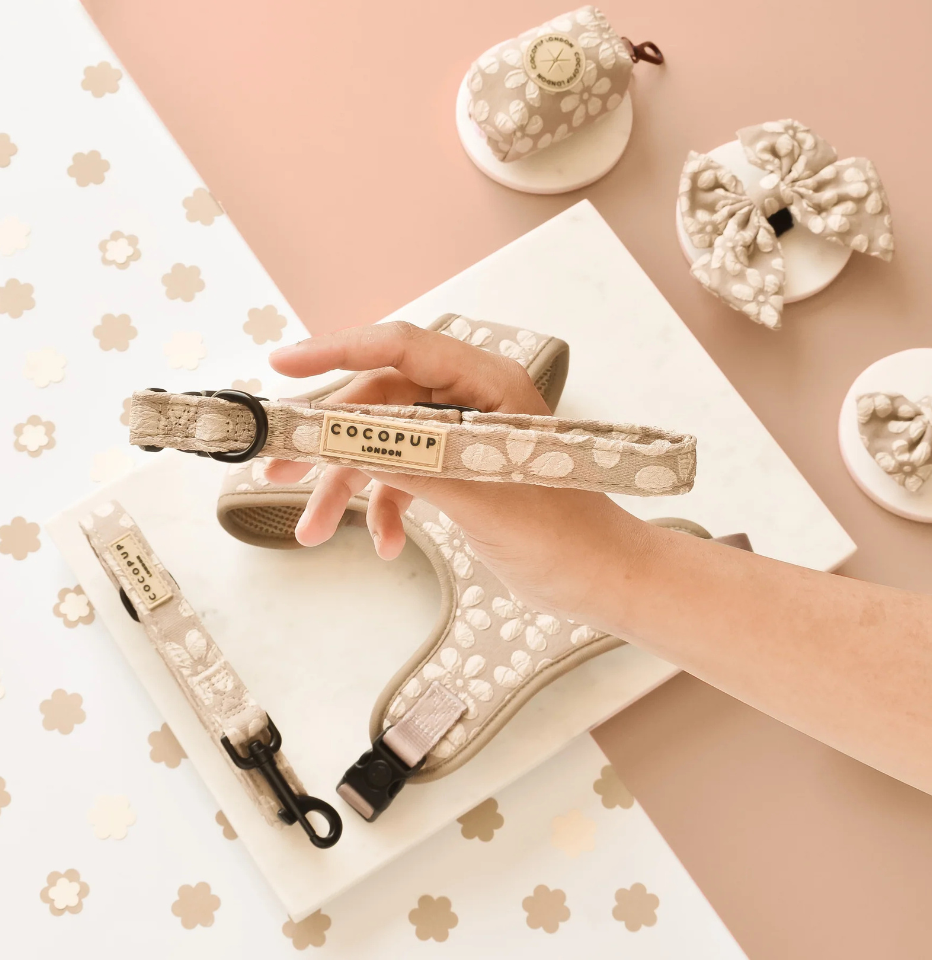 Cocopup London Mocha Flower LUXE dog collar on a mocha and white background, styled with other Cocopup accessories and flower ornaments