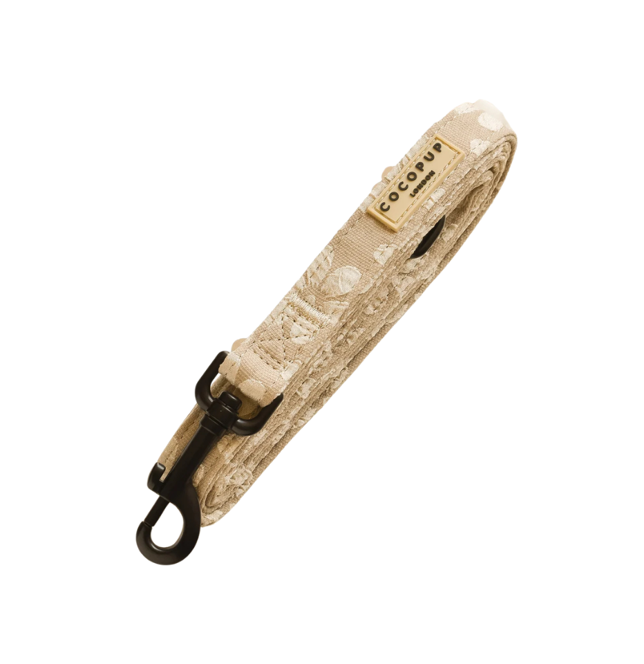 Cocopup London Mocha Flower LUXE Dog Lead on a white background