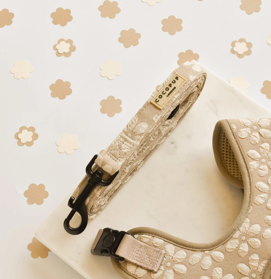 Cocopup London Mocha Flower LUXE dog lead and harness on a cream background with paper flower decoration