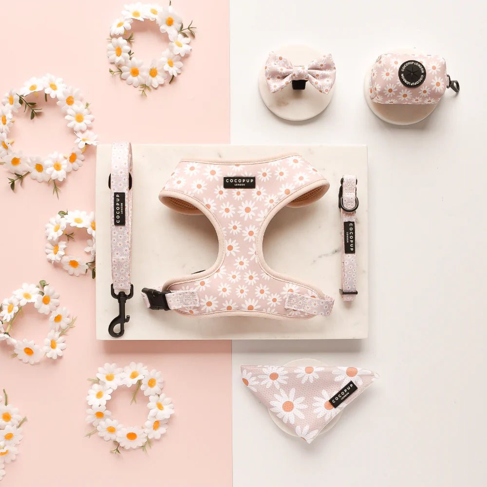 Pet accessories with floral patterns on a pink and white background
