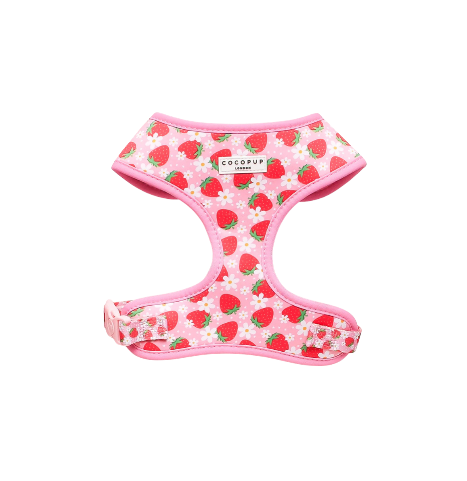 Cocopup London Pupberry Fields Adjustable Neck Dog Harness on a white background