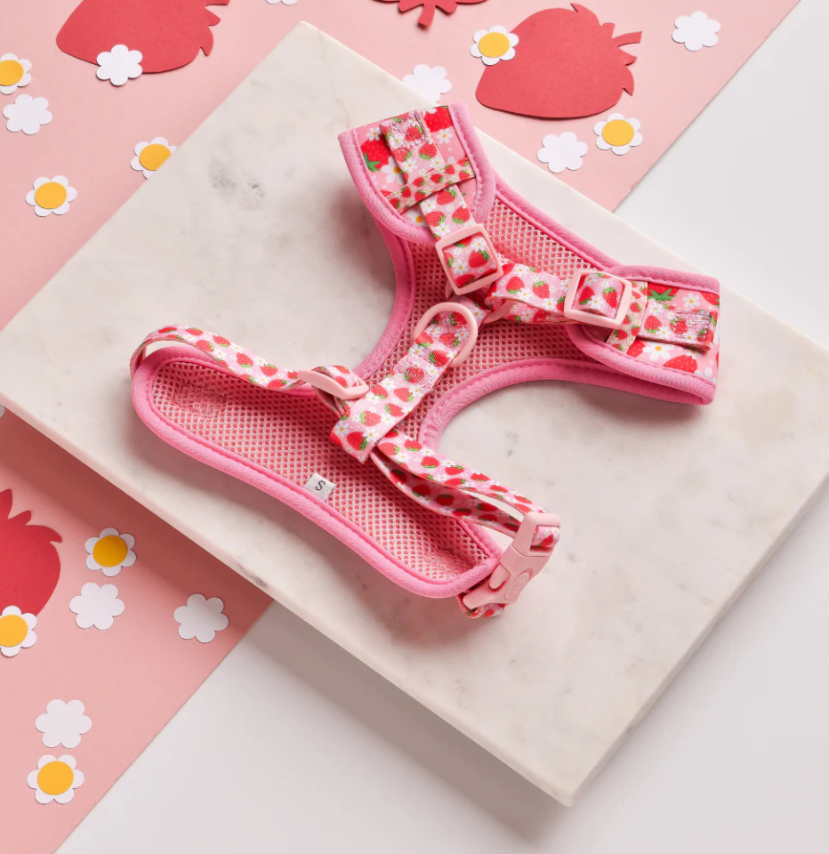 The top of a Cocopup London Pupberry Fields Adjustable Neck Dog Harness