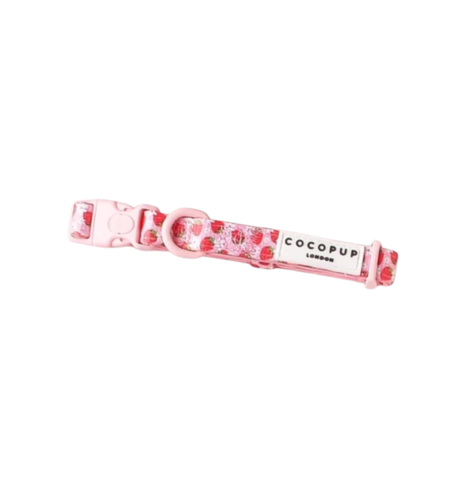 Cocopup London Pupberry Fields Dog Collar on a white background