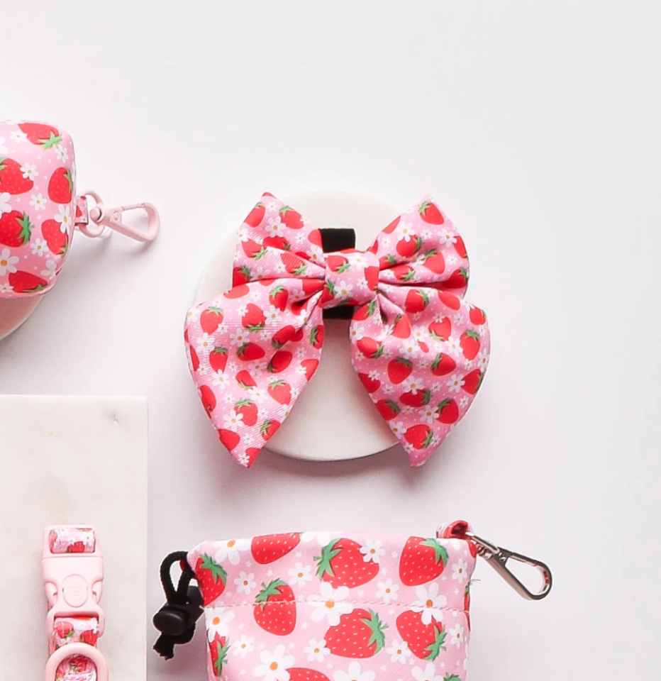 Cocopup London Pupberry Fields Sailor Bow Tie with other matching accessories on a white background