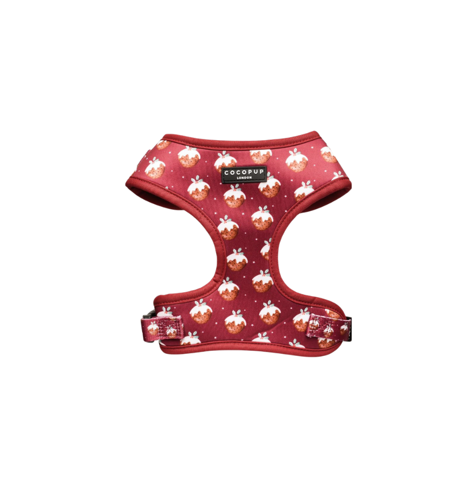 Cocopup London Woofmas Pudding dog harness with Christmas pudding design on cranberry background