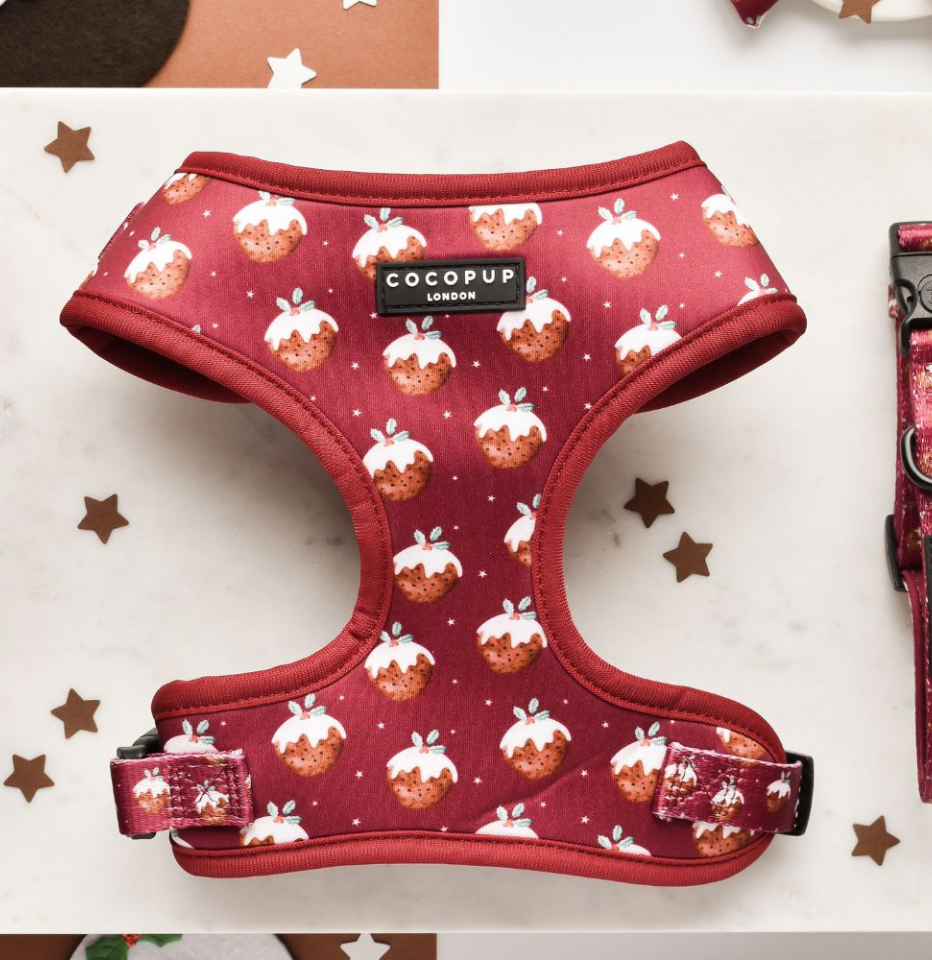 Cocopup London Woofmas Pudding dog harness with Christmas pudding design on cranberry background, styled on a white background with festive stars