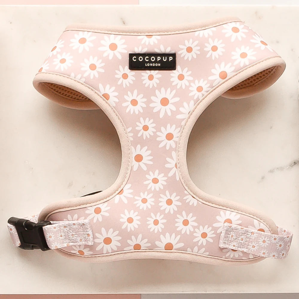 Pink dog harness with floral pattern and 'Cocopup London' label on a light background