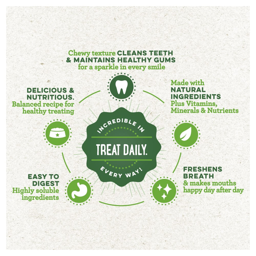 Promotional graphic for Greenies Dog Dental Treat with green text and icons on a white background