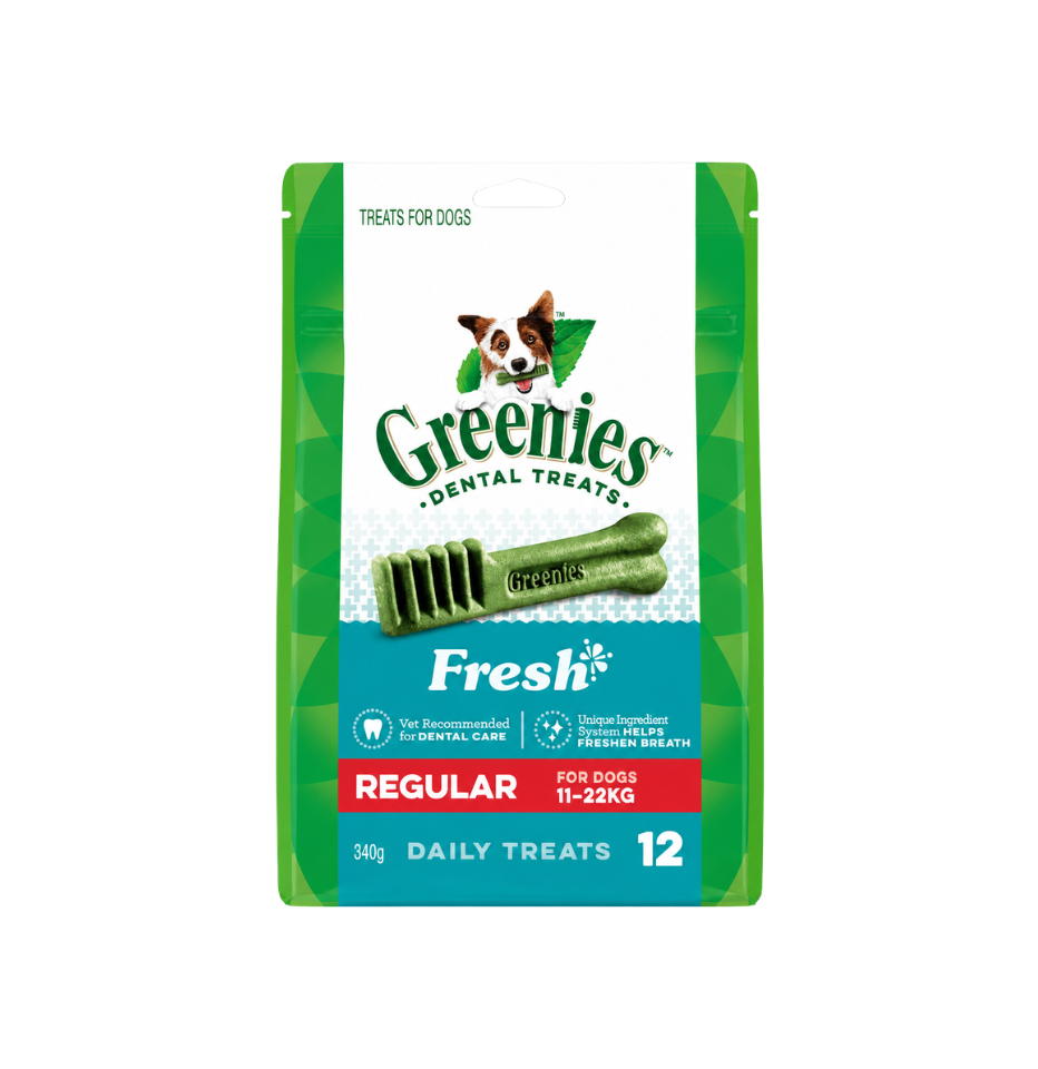 Greenies Fresh Regular dental treats for dogs in a 54g pouch, featuring green tooth-shaped treats and a white and green package design with a red 'REGULAR' banner.