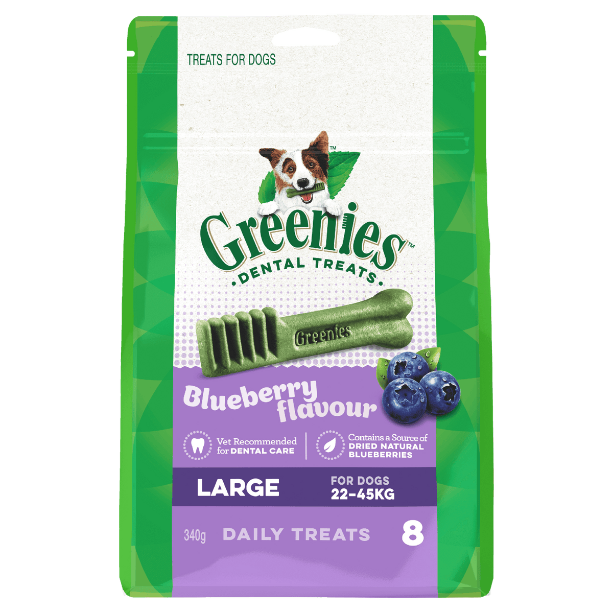 Greenies dog dental treats blueberry large on a white background