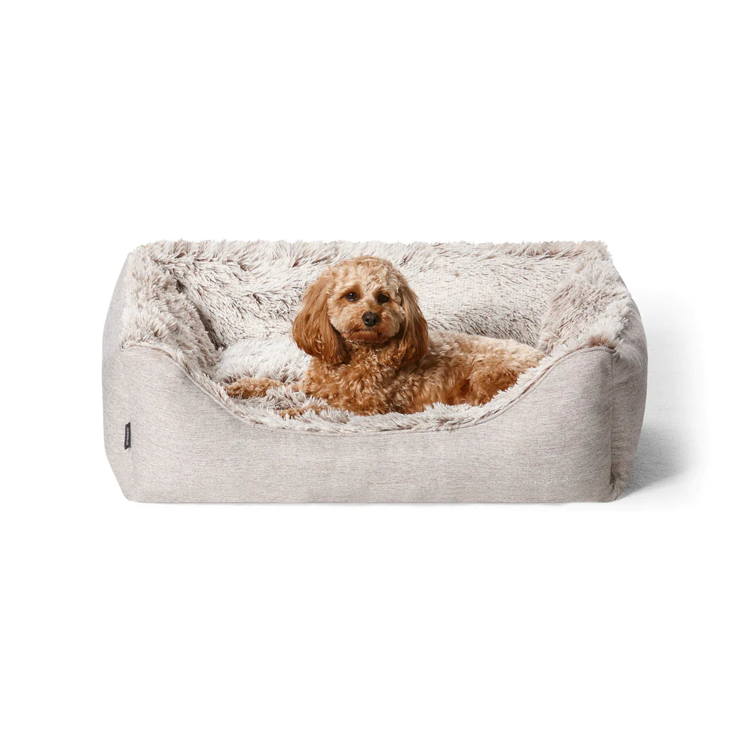 Caramel cavoodle dog lying on a Snooza Calming Deep Sleeper Dog Bed against a white background