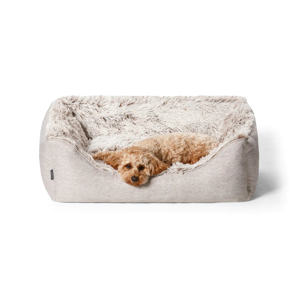 Caramel cavoodle dog lying on a Snooza Calming Deep Sleeper Dog Bed against a white background